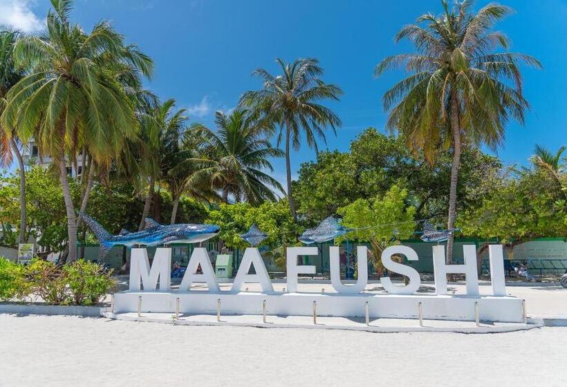 پانسیون Chao Guest House