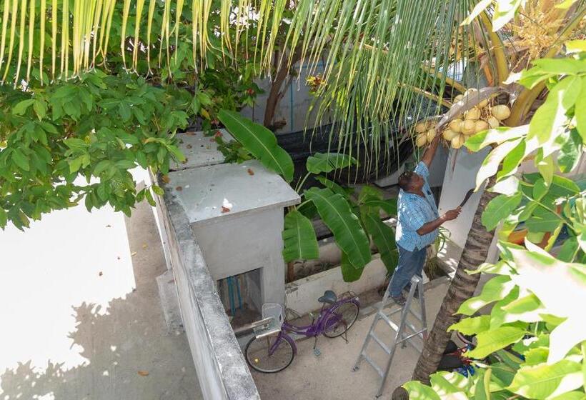 پانسیون Chao Guest House