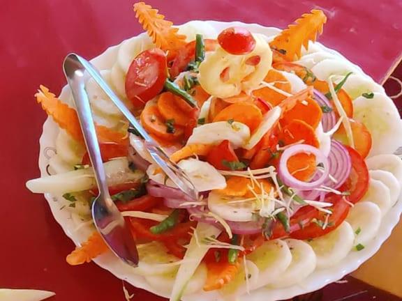 ペンション Ladakh Country Inn