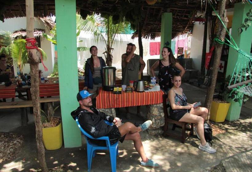 膳宿费 Homeland Swahili Lodge Nungwi Backpacker Apartments Budget