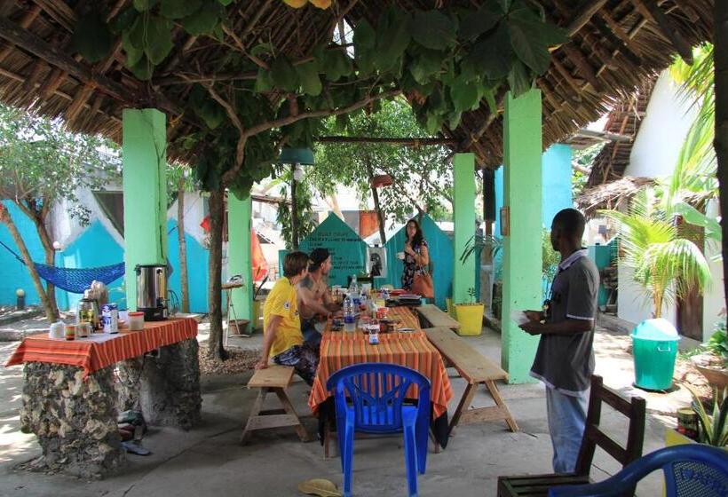 膳宿费 Homeland Swahili Lodge Nungwi Backpacker Apartments Budget