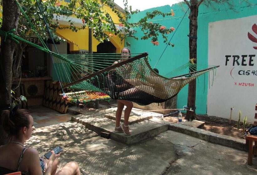 膳宿费 Homeland Swahili Lodge Nungwi Backpacker Apartments Budget