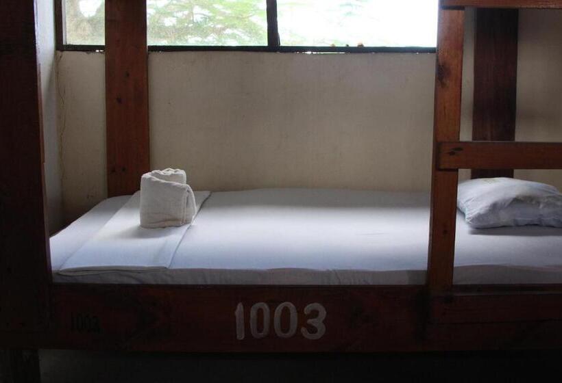 Пансион Homeland Swahili Lodge Nungwi Backpacker Apartments Budget