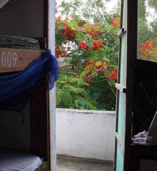 Пансион Homeland Swahili Lodge Nungwi Backpacker Apartments Budget