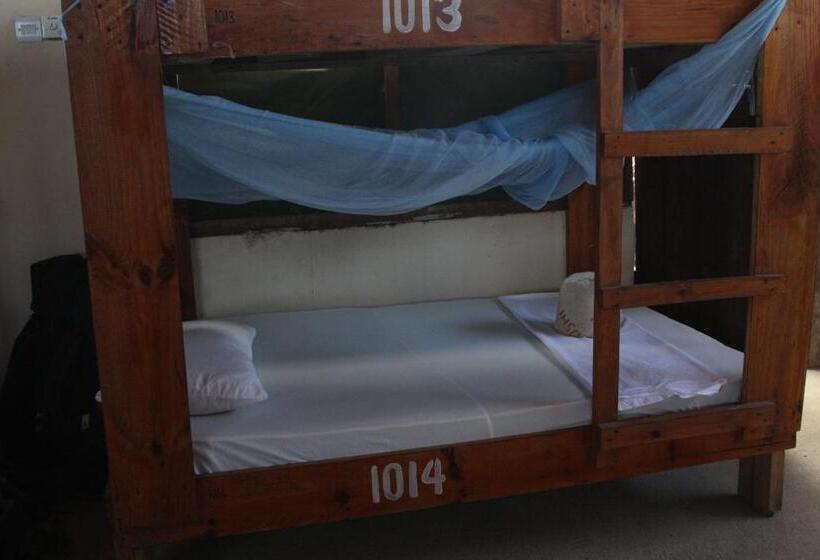 膳宿费 Homeland Swahili Lodge Nungwi Backpacker Apartments Budget