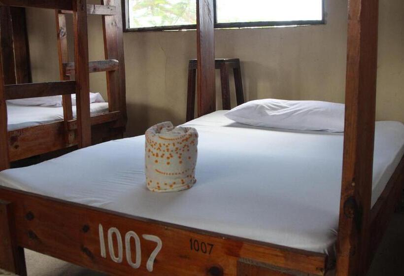 膳宿费 Homeland Swahili Lodge Nungwi Backpacker Apartments Budget