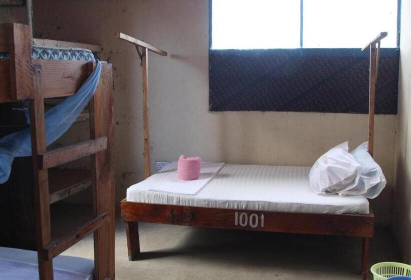 膳宿费 Homeland Swahili Lodge Nungwi Backpacker Apartments Budget