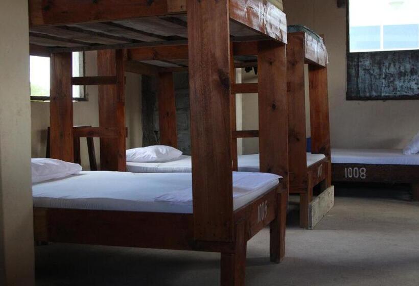 膳宿费 Homeland Swahili Lodge Nungwi Backpacker Apartments Budget