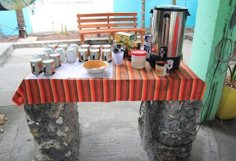 膳宿费 Homeland Swahili Lodge Nungwi Backpacker Apartments Budget