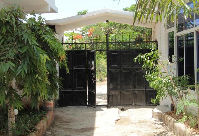 膳宿费 Homeland Swahili Lodge Nungwi Backpacker Apartments Budget