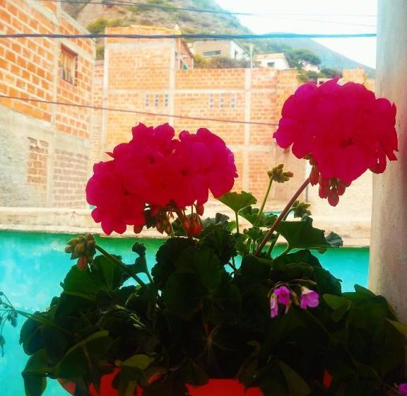 הוסטל Hospedaje Ale