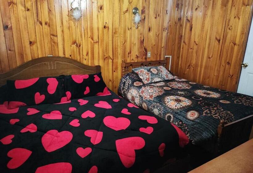 فندق صغير Hostal Gomero