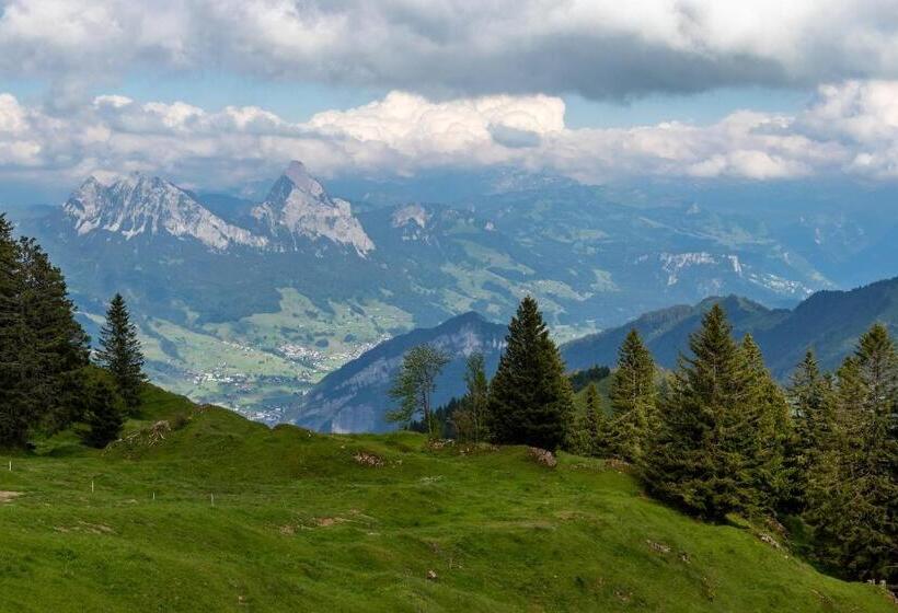 Общежитие Berggasthaus Rigi Burggeist