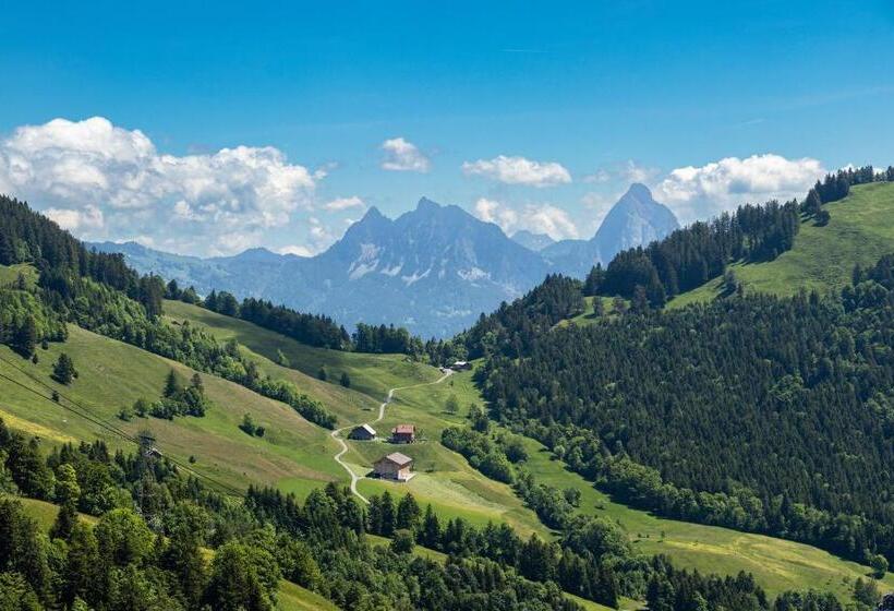 Общежитие Berggasthaus Rigi Burggeist