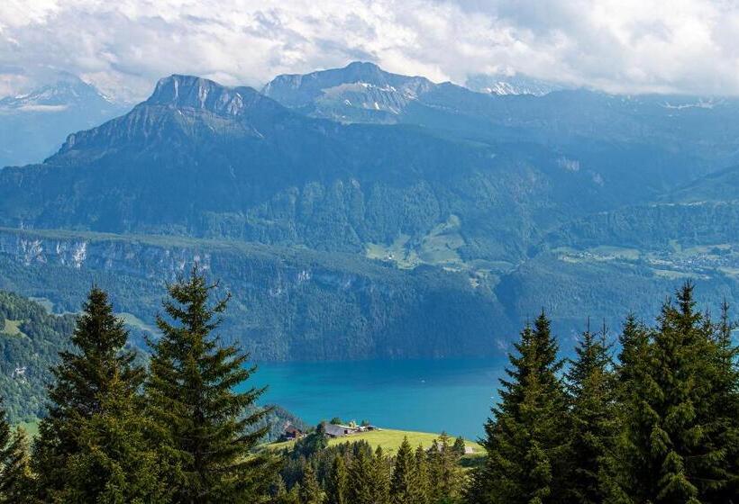 Общежитие Berggasthaus Rigi Burggeist