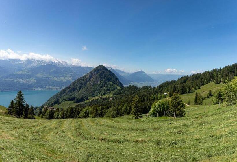 Общежитие Berggasthaus Rigi Burggeist