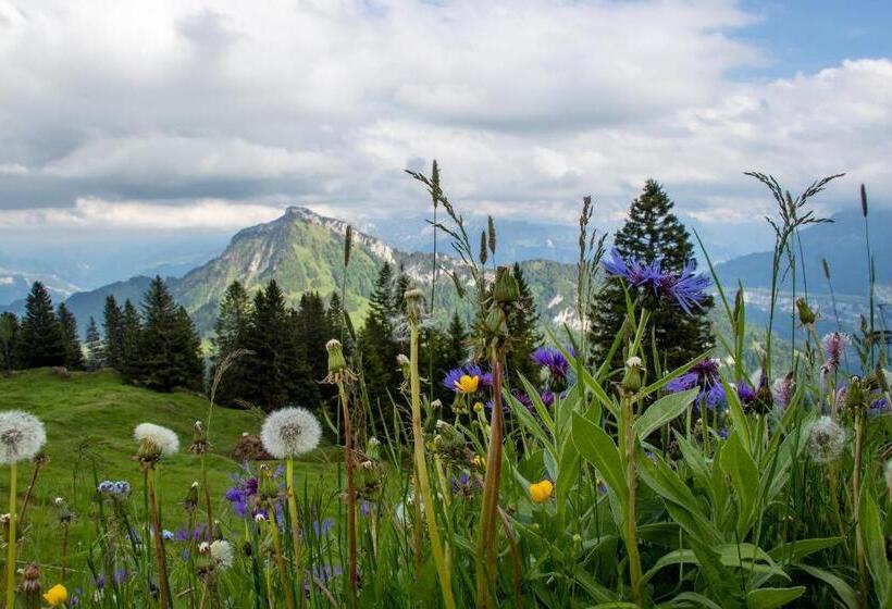 Общежитие Berggasthaus Rigi Burggeist
