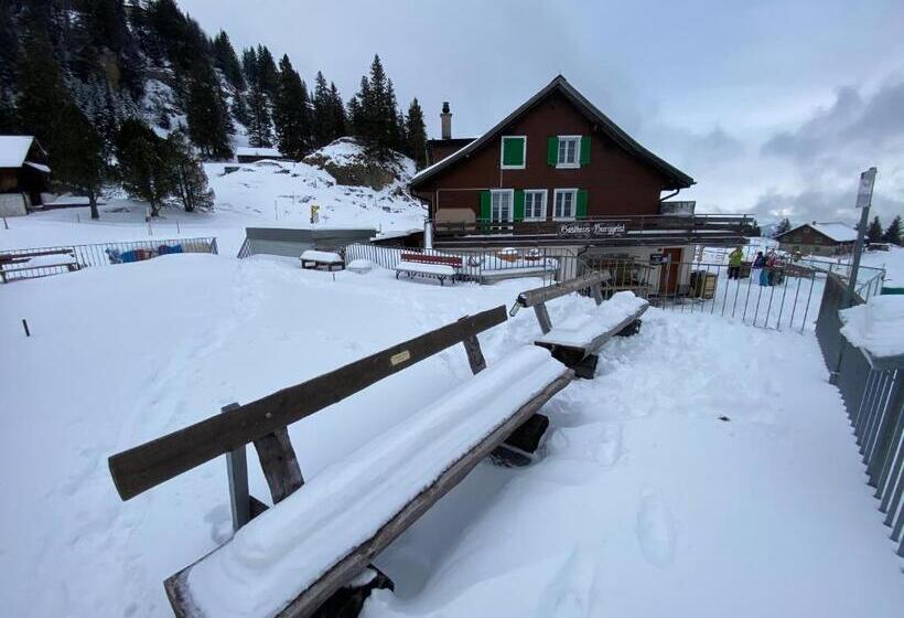 Общежитие Berggasthaus Rigi Burggeist