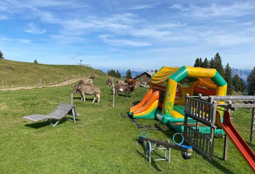 Общежитие Berggasthaus Rigi Burggeist