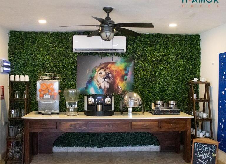 ベッドアンドブレックファースト Amor Progreso