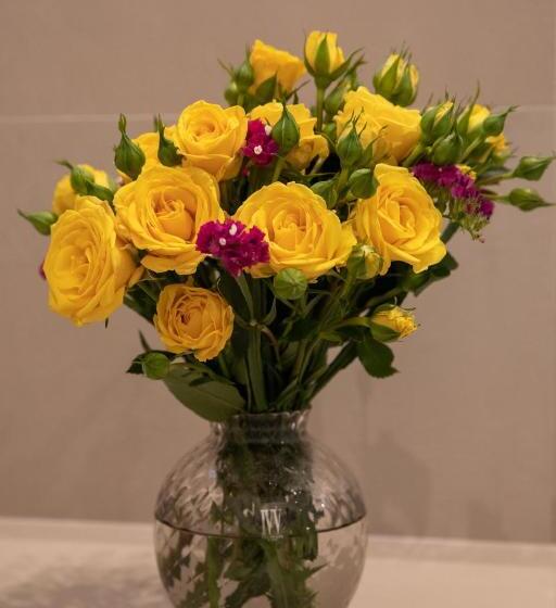 צימר Bebio Rooms