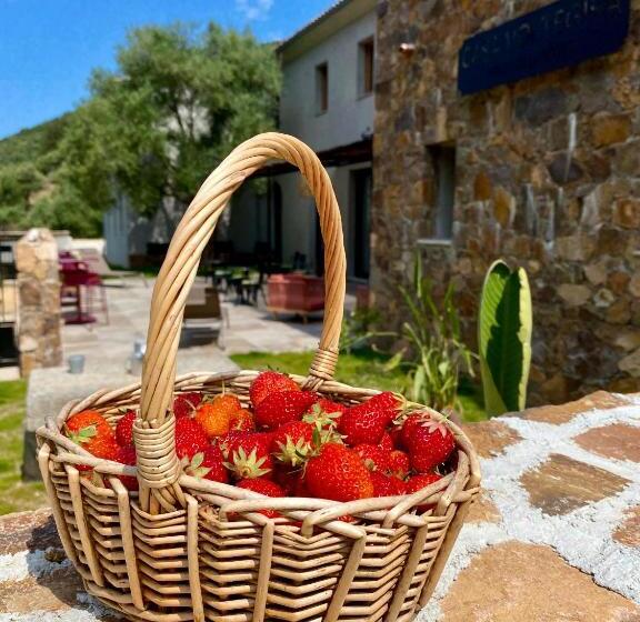 ベッドアンドブレックファースト Casa Voltegira