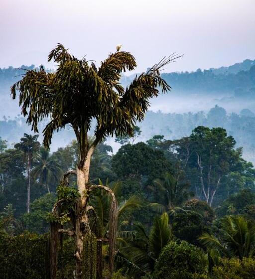 Bed and Breakfast Raveendra Inn