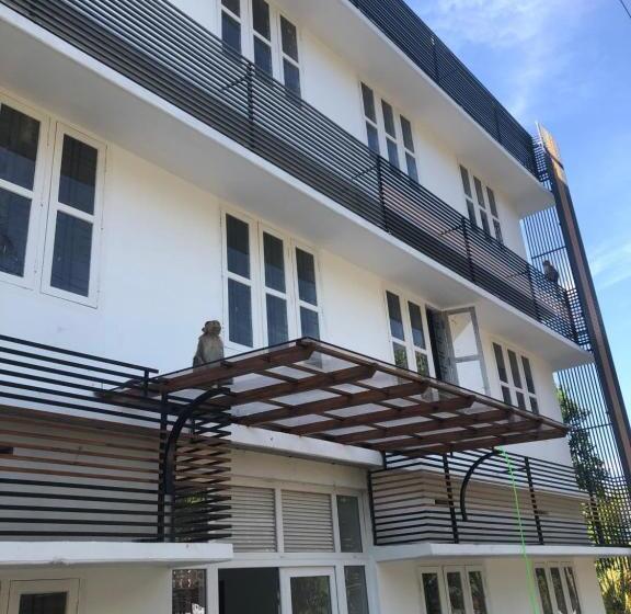 Bed and Breakfast Raveendra Inn