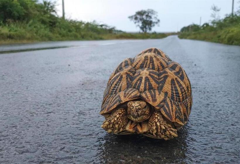 Birds Resort Hambantota