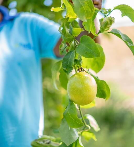 Birds Resort Hambantota
