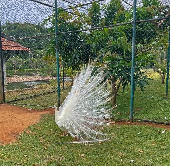 Birds Resort Hambantota