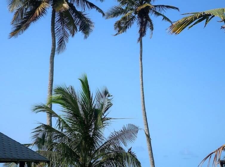 هتل Afro Beach Eco Resort Butre