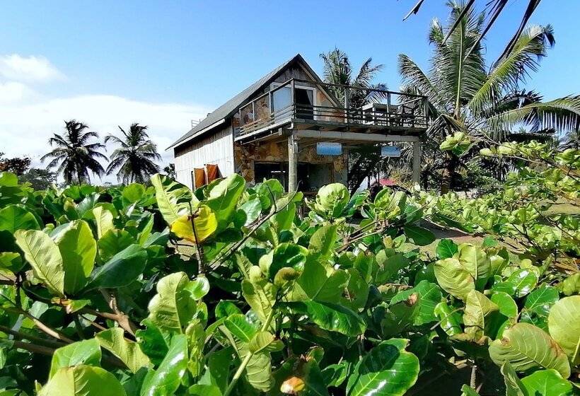 هتل Afro Beach Eco Resort Butre