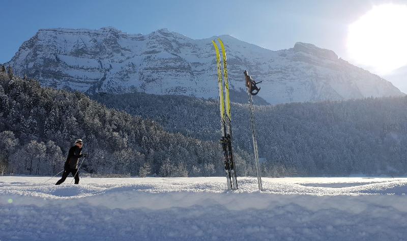 فندق Holiday Inn Express Lustenau