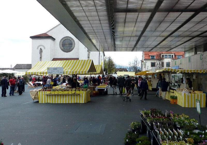 فندق Holiday Inn Express Lustenau