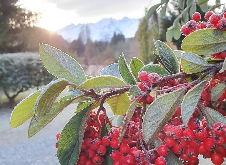 Linaje Hotel Boutique & Relax