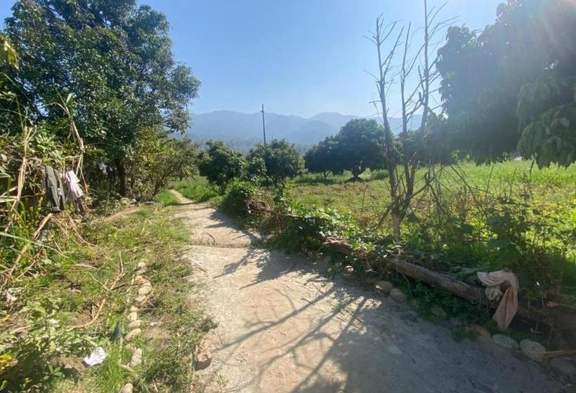 בית מלון כפרי Lushy Days Boom Camp