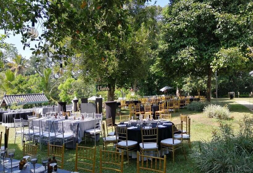 Отель Manor House Kandy