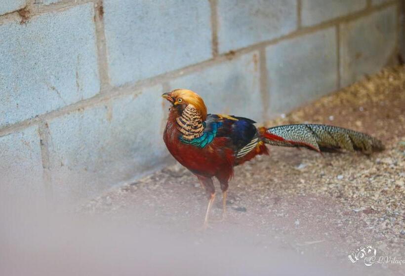 호텔 Pousada E Restaurante Victórios