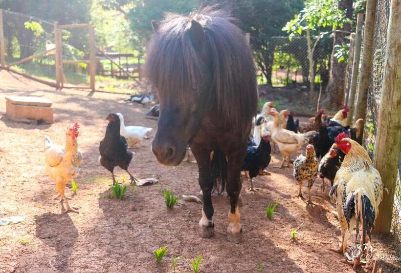 호텔 Pousada E Restaurante Victórios