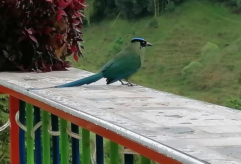 酒店 Salento Mirador