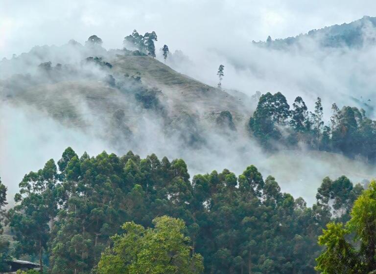 酒店 Salento Mirador