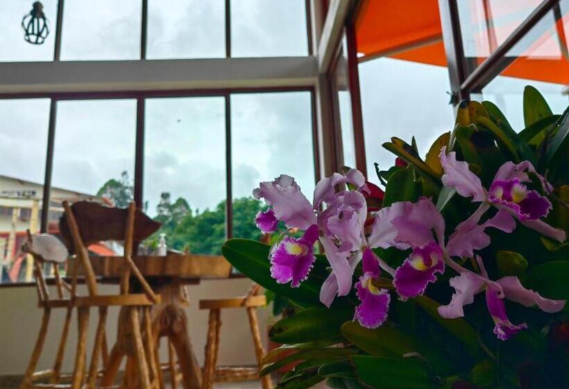 酒店 Salento Mirador