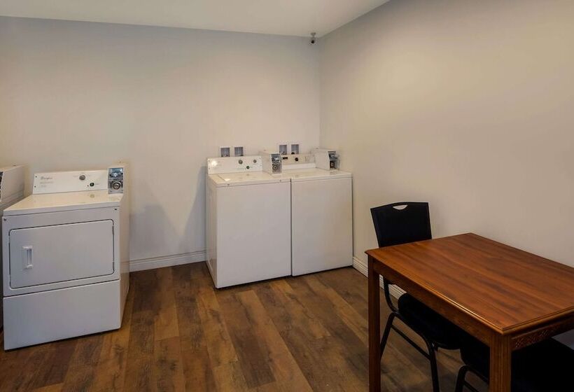 בית מלון כפרי Suburban Studios Brazil