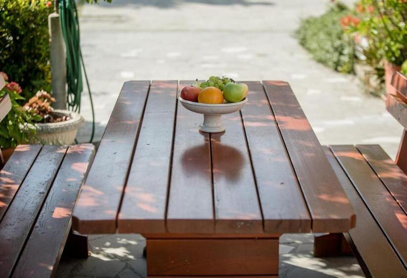 膳宿费 Apartments Ljubica Banjol