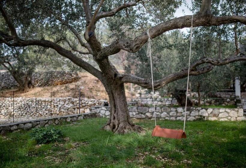 Пансион Apartments Zentil Banjol