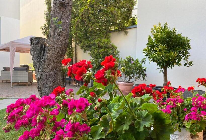 ペンション Hostel, Gästehaus Zum Molenfeuer