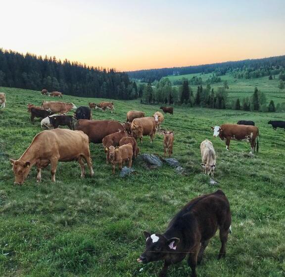 ペンション Wellness Penzion Lázně Kvilda