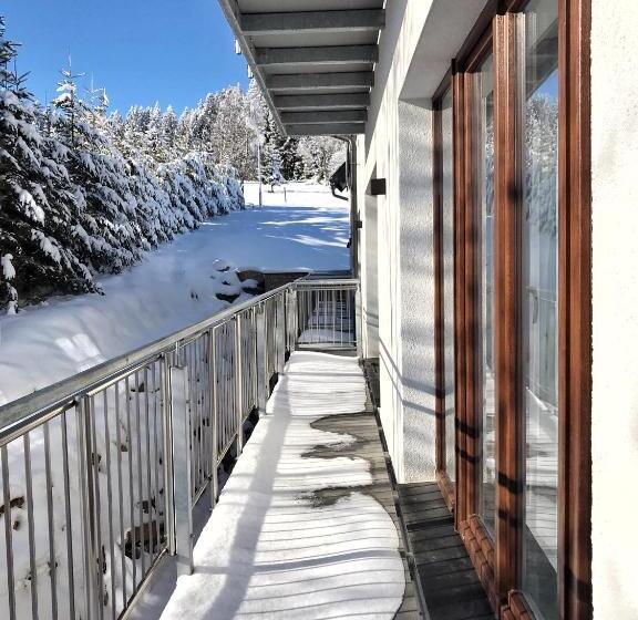 ペンション Wellness Penzion Lázně Kvilda