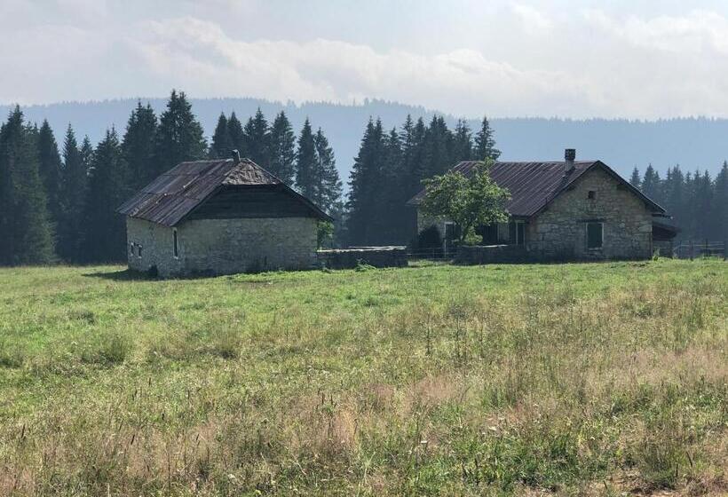 Residence Aurora